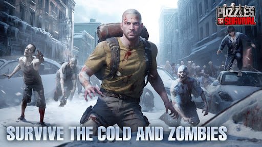 Puzzles &amp; Survival